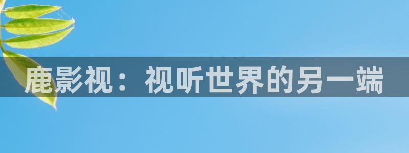 战地影院免费观看完整版电影：鹿影视：视听世界的另一端
