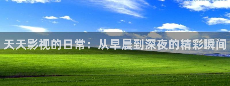 战地影院在：天天影视的日常：从早晨到深夜的精彩瞬间