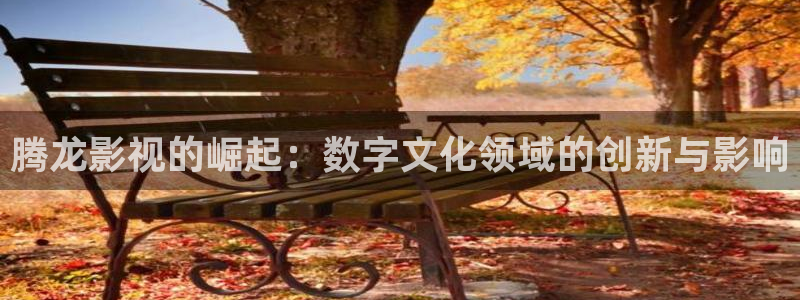 战地影院：腾龙影视的崛起：数字文化领域的创新与影响