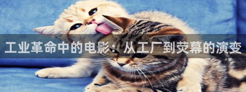战地影院1080p高清：工业革命中的电影：从工厂到荧幕的演变