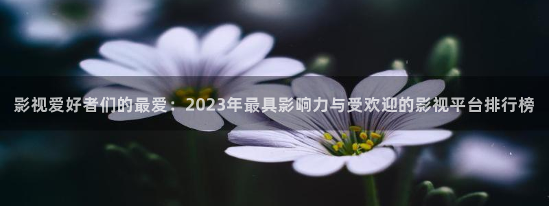 战地在线观看：影视爱好者们的最爱：2023年最具影响力与受欢迎的影视平台排行榜