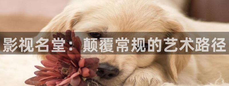 战地5电影：影视名堂：颠覆常规的艺术路径