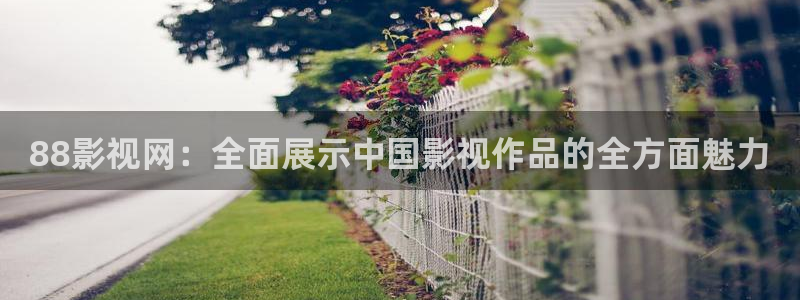 战地电影免费观看完整版：88影视网：全面展示中国影视作品的全方面魅力
