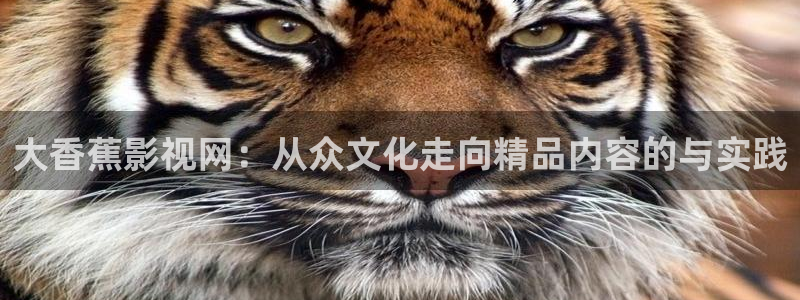 战地游戏下载：大香蕉影视网：从众文化走向精品内容的与实践
