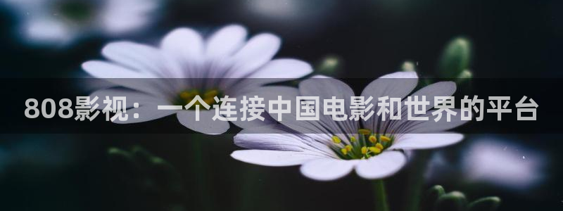 战地影院在线播放：808影视：一个连接中国电影和世界的平台