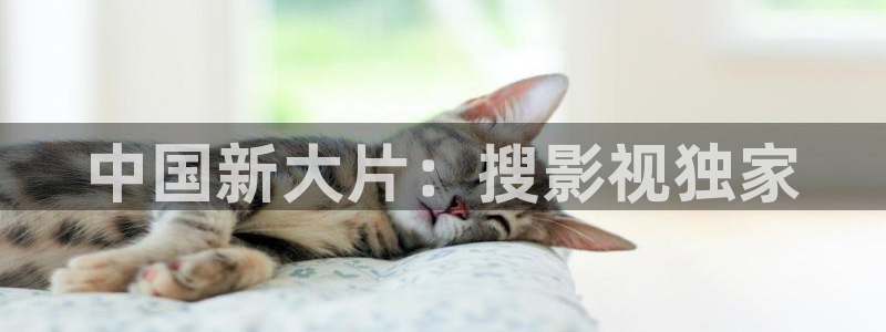 战地影院下载：中国新大片：搜影视独家