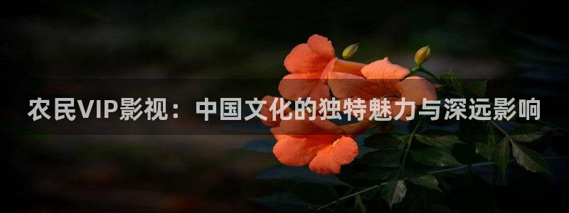 战地影院在战地影院在线观看：农民VIP影视：中国文化的独特魅力与深远影响