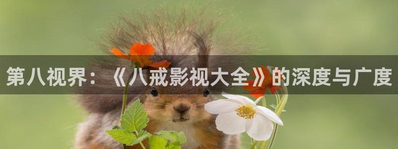 战地影院168：第八视界：《八戒影视大全》的深度与广度