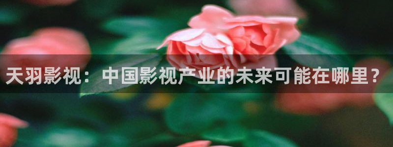 战地影院里的韩国电影有哪些：天羽影视：中国影视产业的未来可能在哪里？